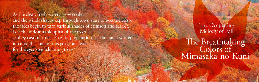 The Deepening Melody of Fall—The Breathtaking Colors of Mimasaka-no-Kuni