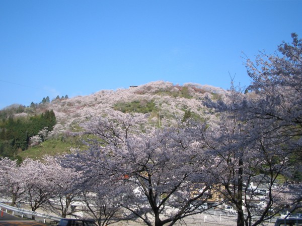 美咲町　三休公園の春まつり　20150401