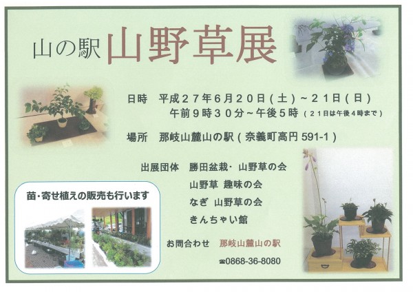 奈義町　山の駅山野草展　20150620