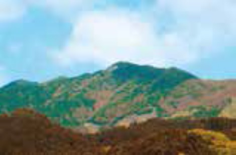 案内人と行く秋の「泉山登山」