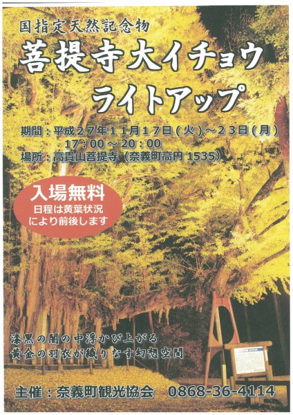 菩提寺大イチョウ