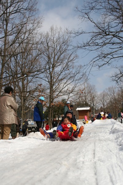 富雪遊び大会2016
