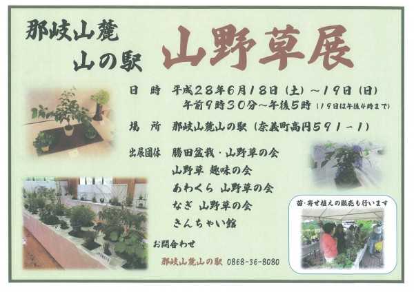 山の駅山野草展